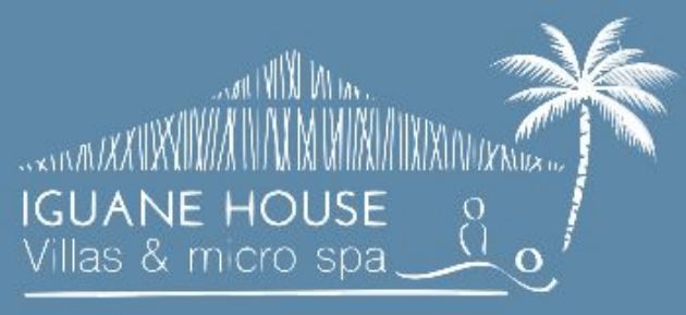 Location villas Iguane House Sainte-Anne Guadeloupe Villas micros spa